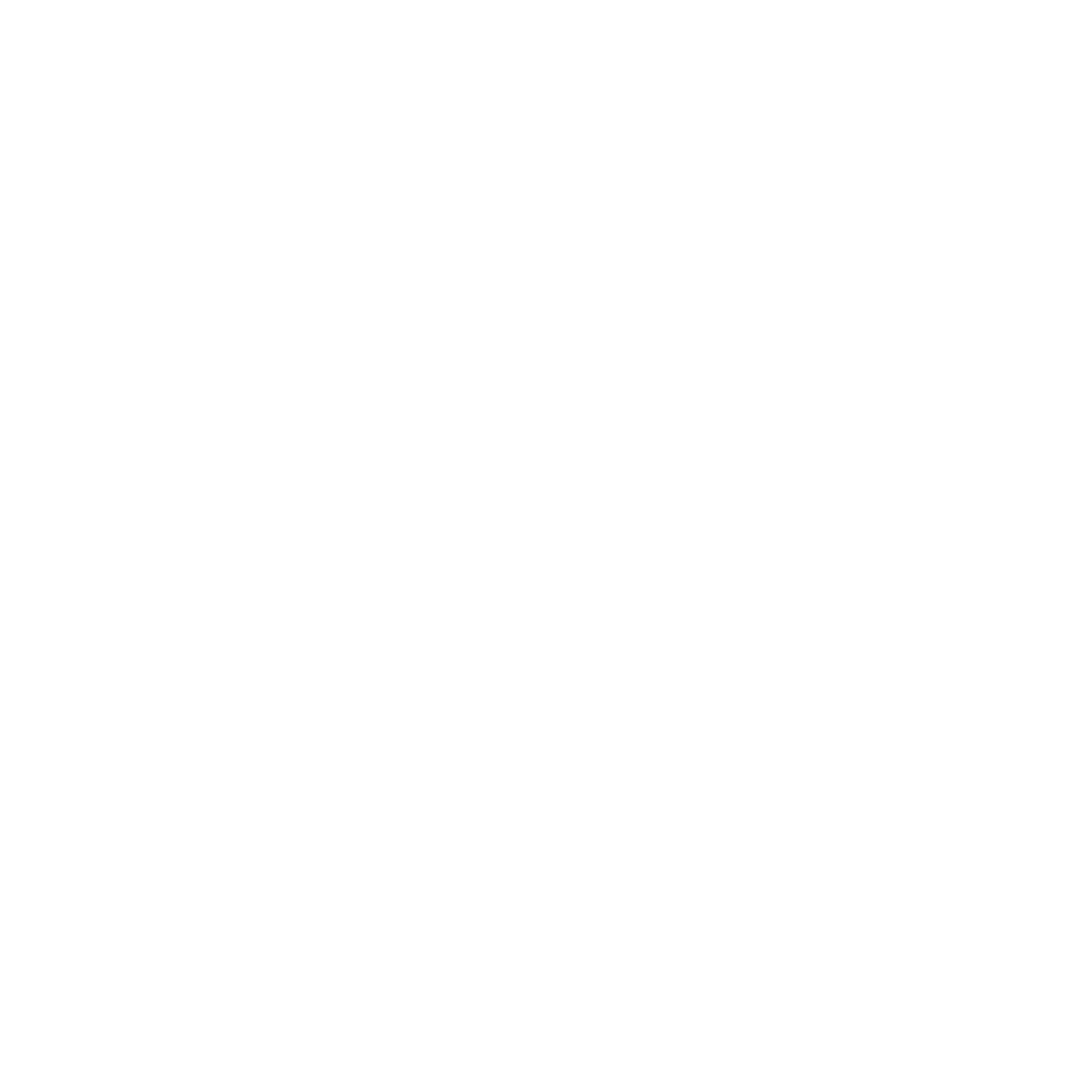 Leadership Through Diversity